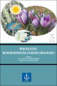 Küçük Resim